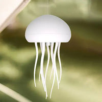 Hanging Style
