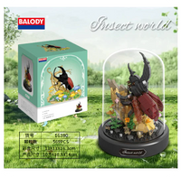 16380-Rhinoceros Beetle [with transparent cover + base]